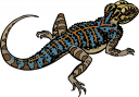 Reptile Clipart