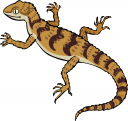 Reptile Clipart