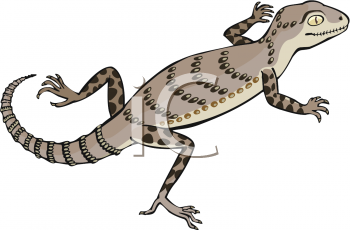 Reptile Clipart