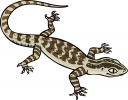 Reptile Clipart