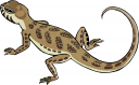 Gecko Clipart