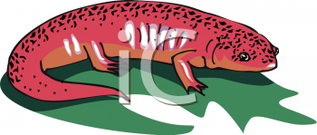 Reptile Clipart
