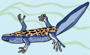 Reptile Clipart