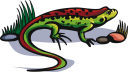 Reptile Clipart