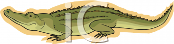 Reptile Clipart