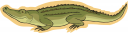 Reptile Clipart