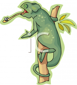 Reptile Clipart