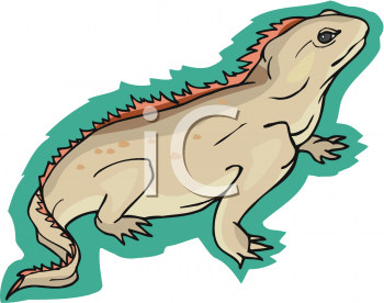 Reptile Clipart