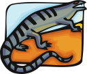 Reptile Clipart