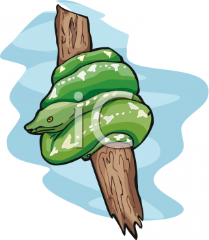 Reptile Clipart