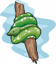 Reptile Clipart