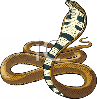 Cobra Clipart