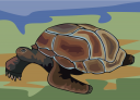 Reptile Clipart