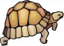 Reptile Clipart