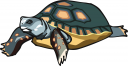 Reptile Clipart