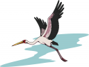 Stork Clipart