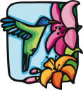 Hummingbird Clipart