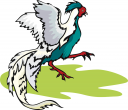 Bird Clipart