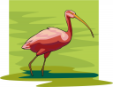 Crane Clipart
