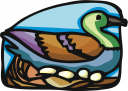 Bird Clipart