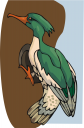 Bird Clipart