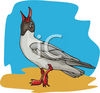 Bird Clipart