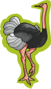 Ostrich Clipart
