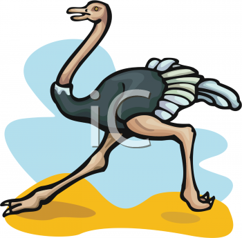 Ostrich Clipart