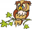 Owl Clipart