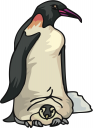 Penguin Clipart