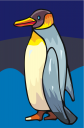 Penguin Clipart