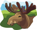 Moose Clipart