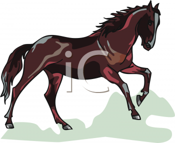 Stallion Clipart
