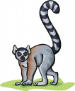 Lemur Clipart