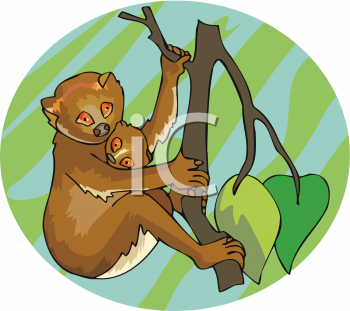 Monkey Clipart