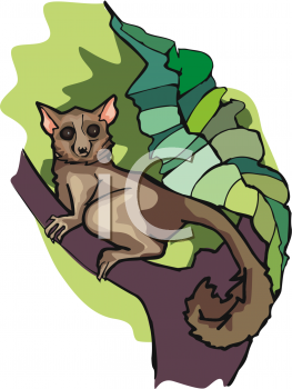 Monkey Clipart