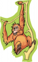 Orangutan Clipart
