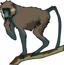 Monkey Clipart