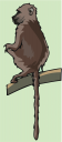 Monkey Clipart