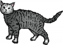 Pet Clipart