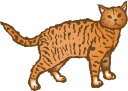Kitten Clipart