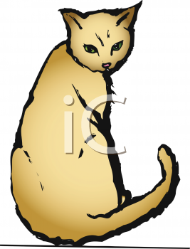 Kitten Clipart
