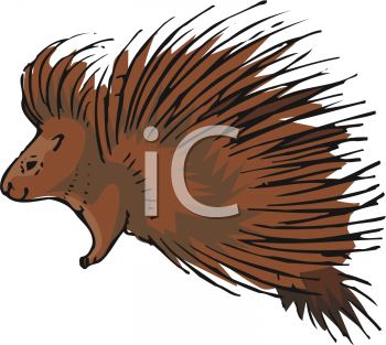 Porcupine Clipart