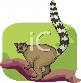 Monkey Clipart