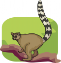 Monkey Clipart