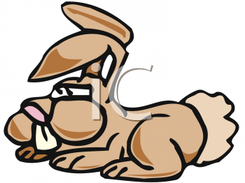 Rabbit Clipart