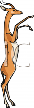 Gazelle Clipart