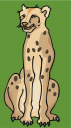 Leopard Clipart