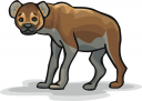 Hyena Clipart