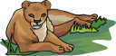 Lion Clipart